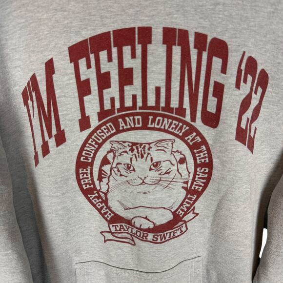 Taylor Swift Hoodie 2XL Gray I'm Feeling 22 Drawstring Independent Trading Co - Picture 5 of 11